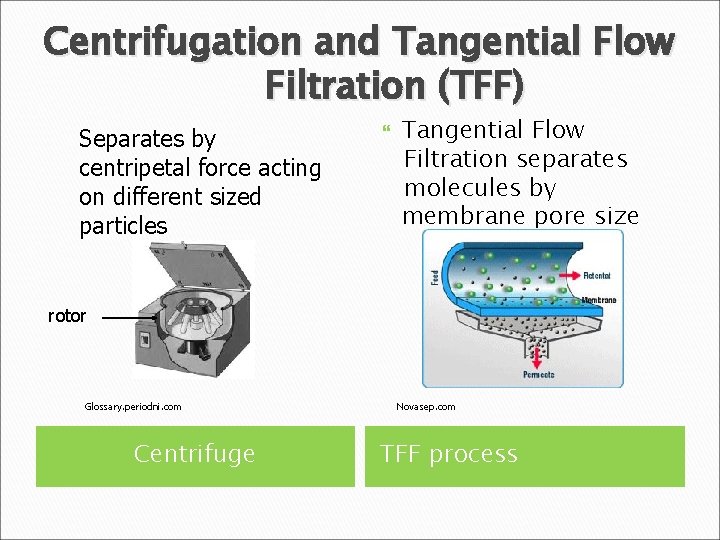 Centrifugation and Tangential Flow Filtration (TFF) Separates by centripetal force acting on different sized