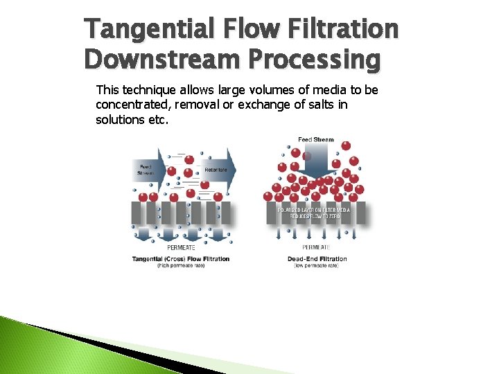 Tangential Flow Filtration Downstream Processing This technique allows large volumes of media to be