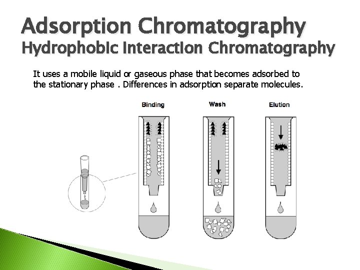 Adsorption Chromatography Hydrophobic Interaction Chromatography It uses a mobile liquid or gaseous phase that