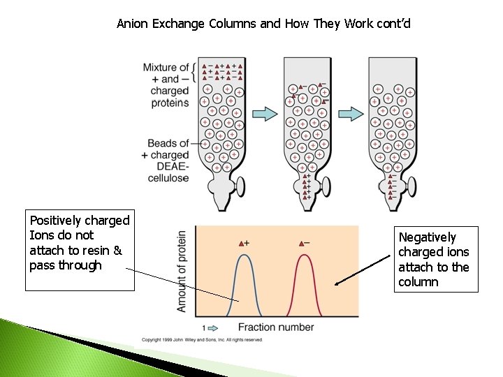 Anion Exchange Columns and How They Work cont’d Positively charged Ions do not attach