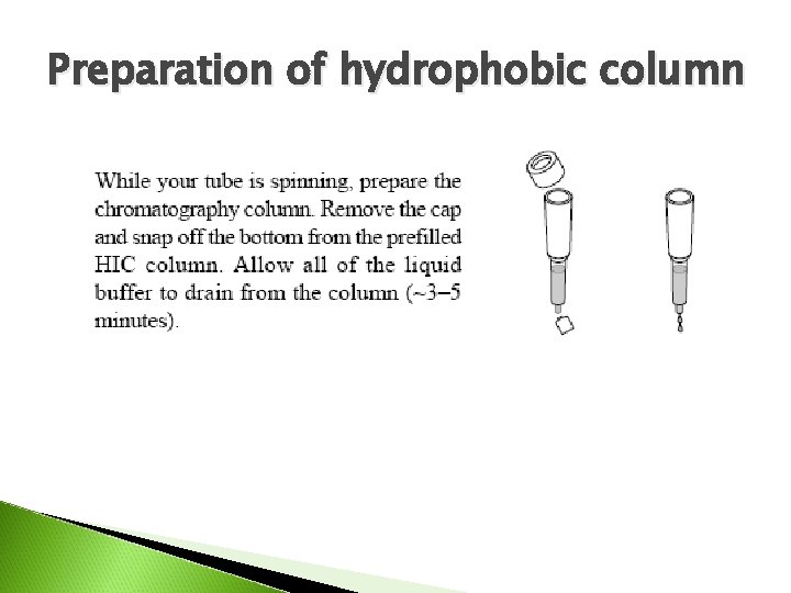 Preparation of hydrophobic column 