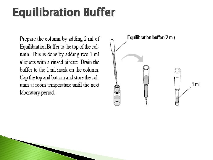 Equilibration Buffer 