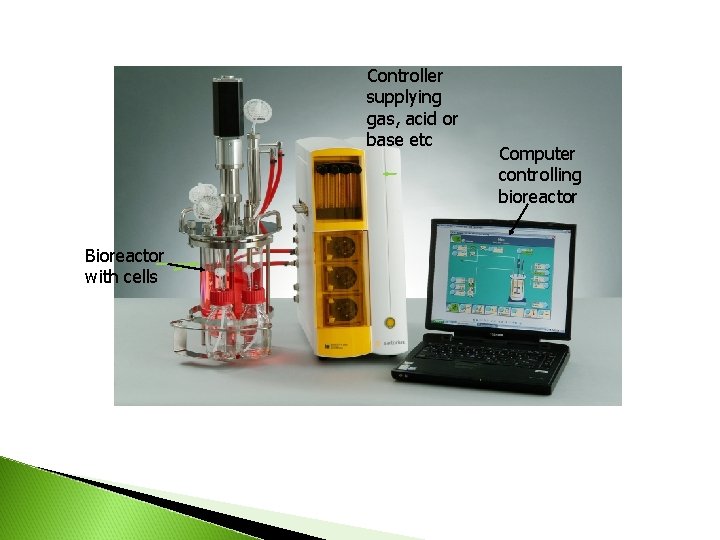 Controller supplying gas, acid or base etc Bioreactor with cells Computer controlling bioreactor 