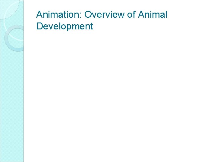 Animation: Overview of Animal Development 