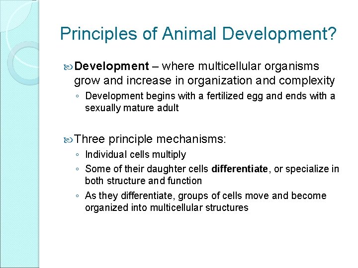 Principles of Animal Development? Development – where multicellular organisms grow and increase in organization