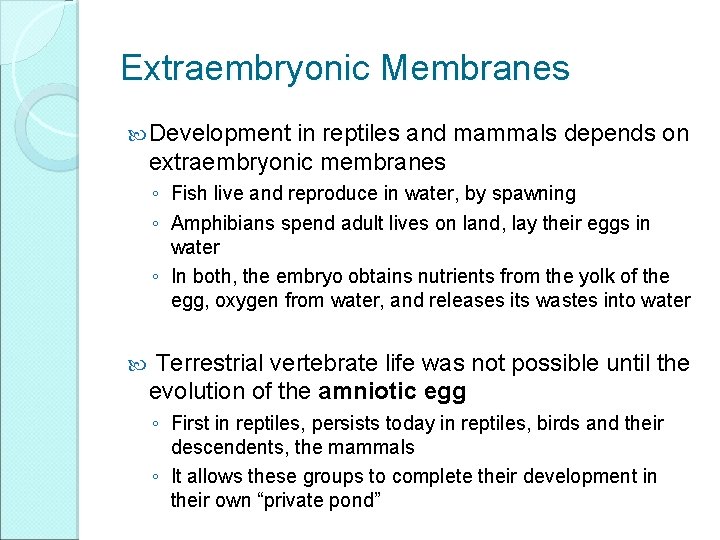 Extraembryonic Membranes Development in reptiles and mammals depends on extraembryonic membranes ◦ Fish live