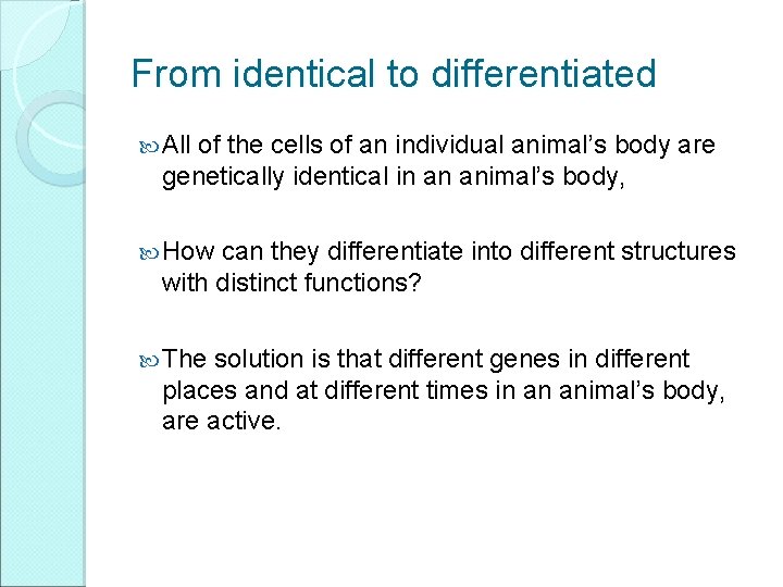 From identical to differentiated All of the cells of an individual animal’s body are