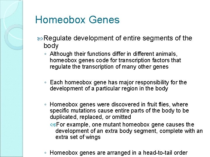 Homeobox Genes Regulate body development of entire segments of the ◦ Although their functions