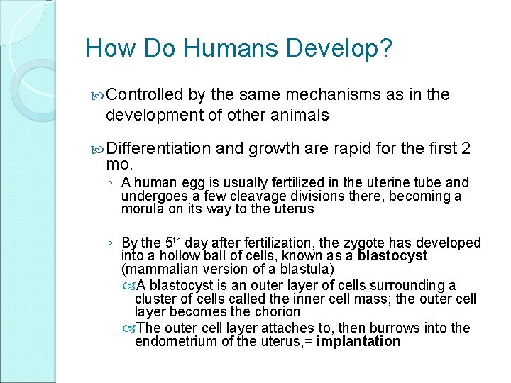 How Do Humans Develop? Controlled by the same mechanisms as in the development of