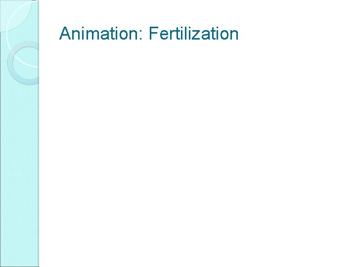 Animation: Fertilization 