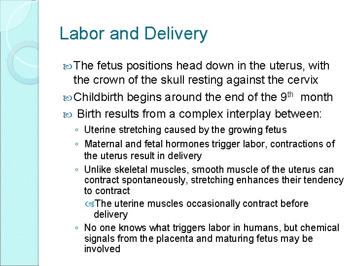 Labor and Delivery The fetus positions head down in the uterus, with the crown