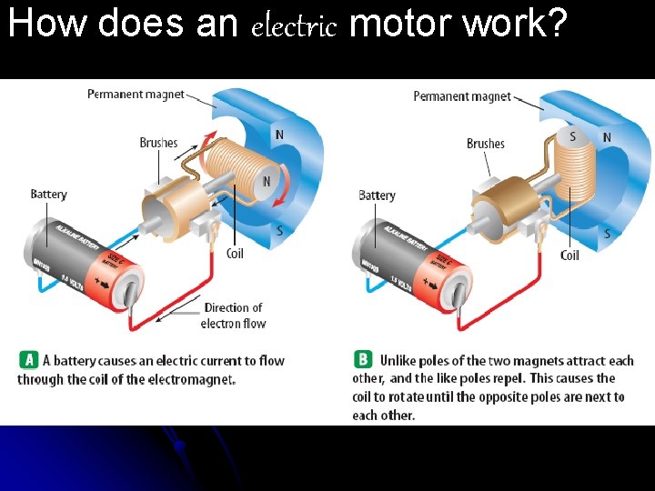 How does an electric motor work? 