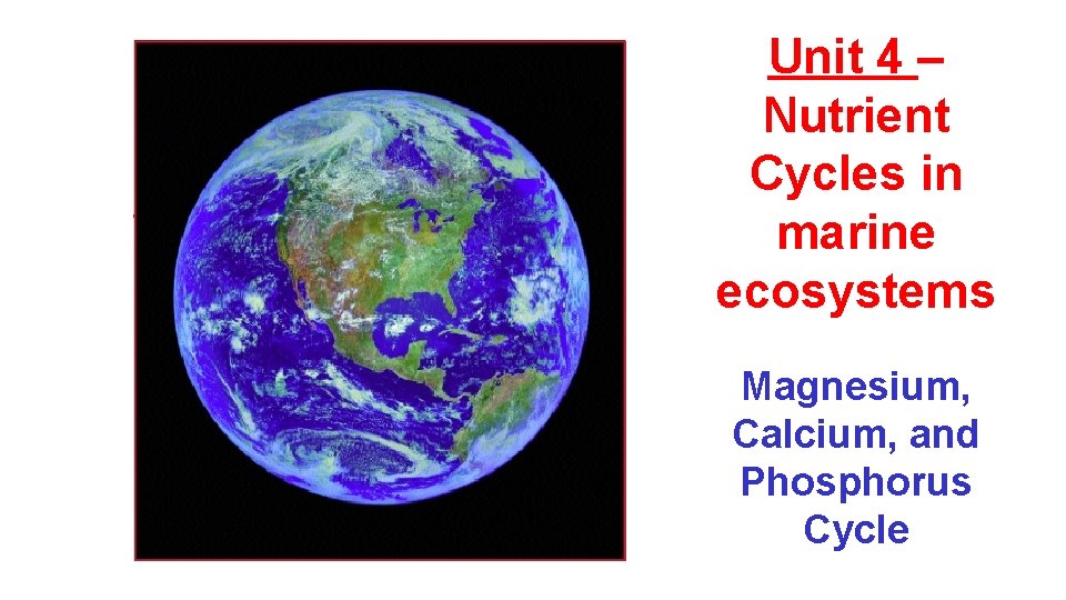 Unit 4 – Nutrient Cycles in marine ecosystems Magnesium, Calcium, and Phosphorus Cycle 