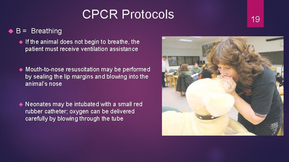 CPCR Protocols B = Breathing If the animal does not begin to breathe, the