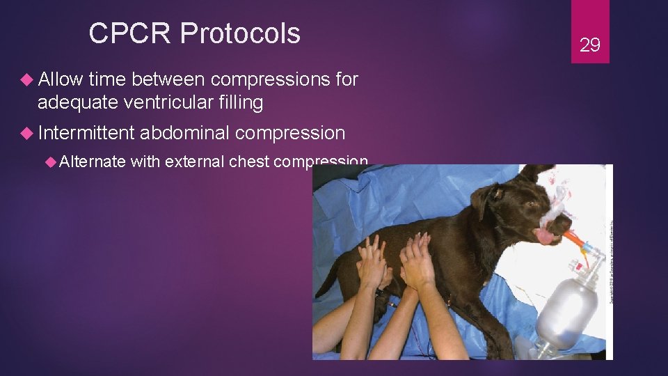 CPCR Protocols Allow time between compressions for adequate ventricular filling Intermittent Alternate abdominal compression