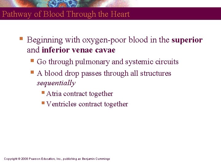 Pathway of Blood Through the Heart § Beginning with oxygen-poor blood in the superior