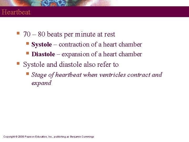 Heartbeat § 70 – 80 beats per minute at rest § Systole – contraction