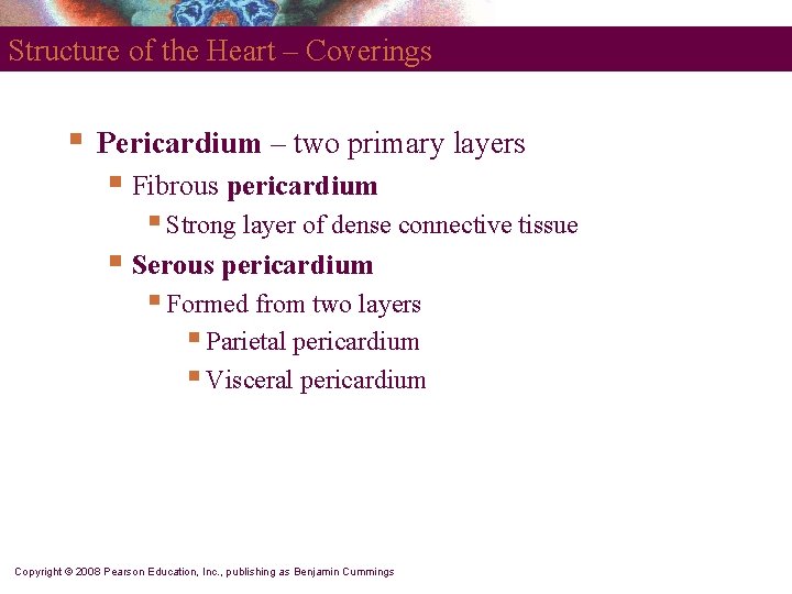 Structure of the Heart – Coverings § Pericardium – two primary layers § Fibrous