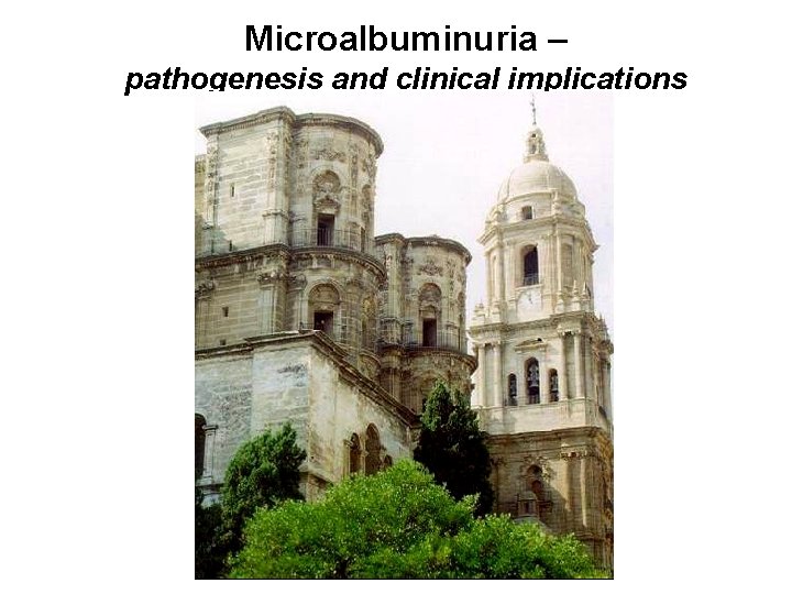 Microalbuminuria – pathogenesis and clinical implications 