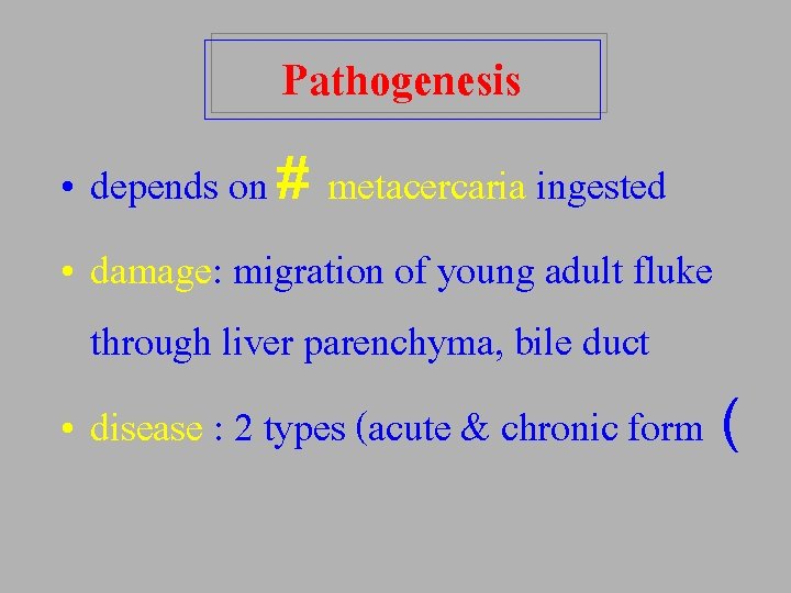 Pathogenesis • depends on # metacercaria ingested • damage: migration of young adult fluke
