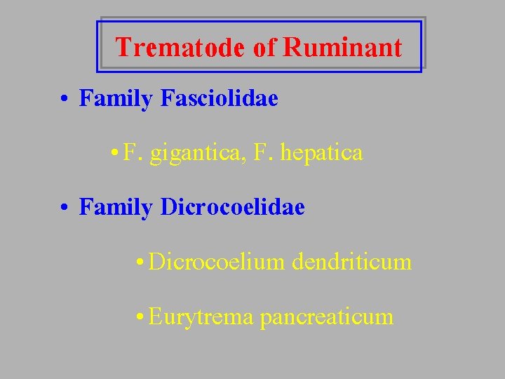 Trematode of Ruminant • Family Fasciolidae • F. gigantica, F. hepatica • Family Dicrocoelidae