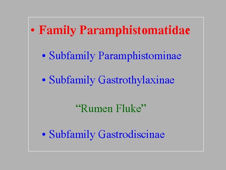 • Family Paramphistomatidae • Subfamily Paramphistominae • Subfamily Gastrothylaxinae “Rumen Fluke” • Subfamily