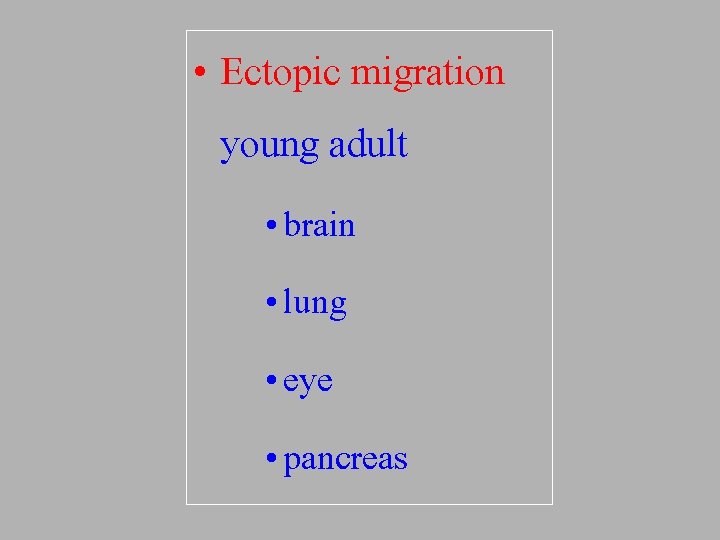  • Ectopic migration young adult • brain • lung • eye • pancreas