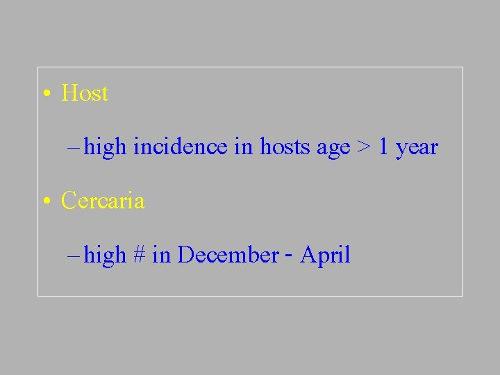  • Host – high incidence in hosts age > 1 year • Cercaria