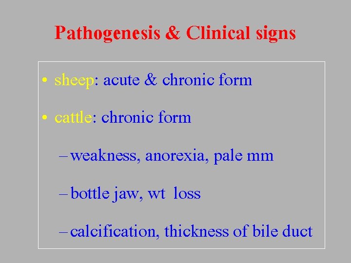 Pathogenesis & Clinical signs • sheep: acute & chronic form • cattle: chronic form