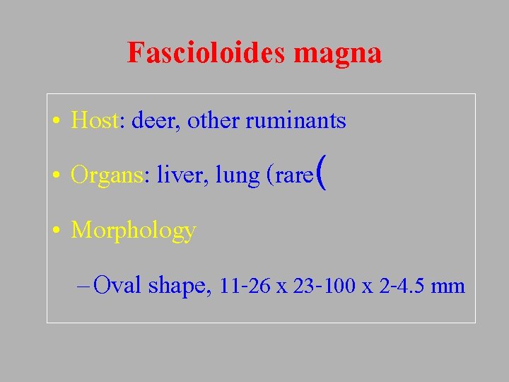 Fascioloides magna • Host: deer, other ruminants • Organs: liver, lung (rare( • Morphology