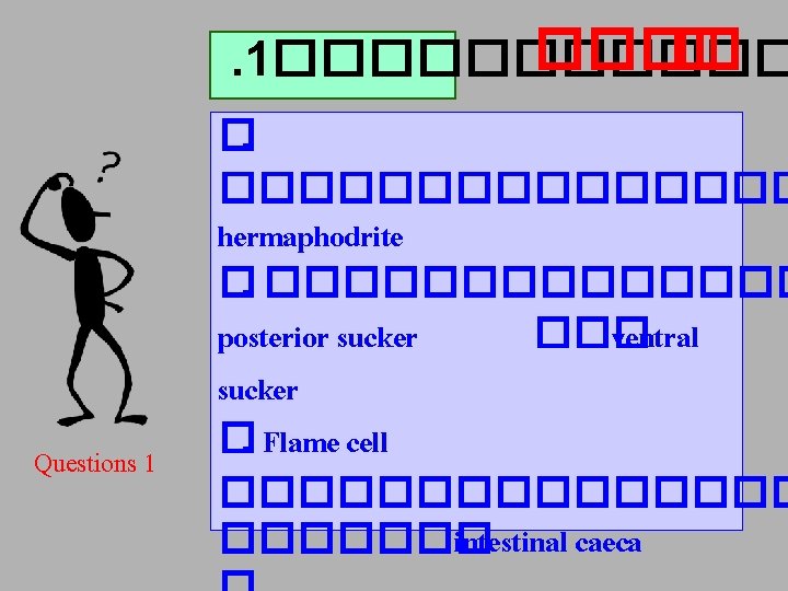 ���� : �. 1������ �. �������� hermaphodrite �. ������� posterior sucker ��� ventral Questions