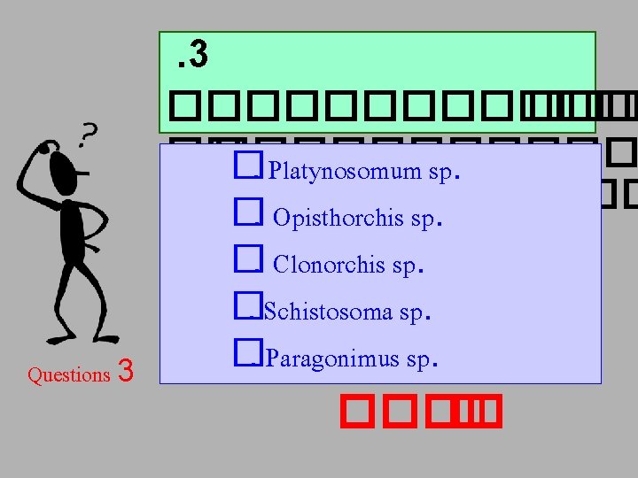 . 3 ������� �� ������ �. Platynosomum sp. ������ �. Opisthorchis sp. Questions 3