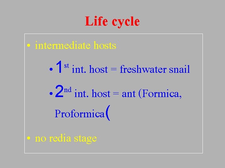 Life cycle • intermediate hosts st • 1 int. host = freshwater snail nd