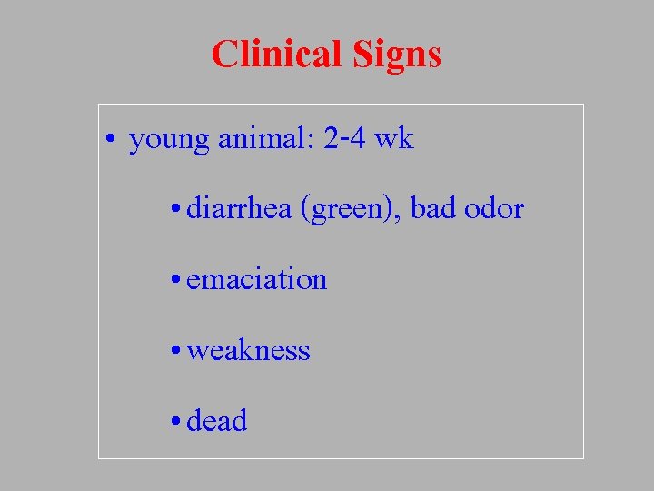 Clinical Signs • young animal: 2 -4 wk • diarrhea (green), bad odor •