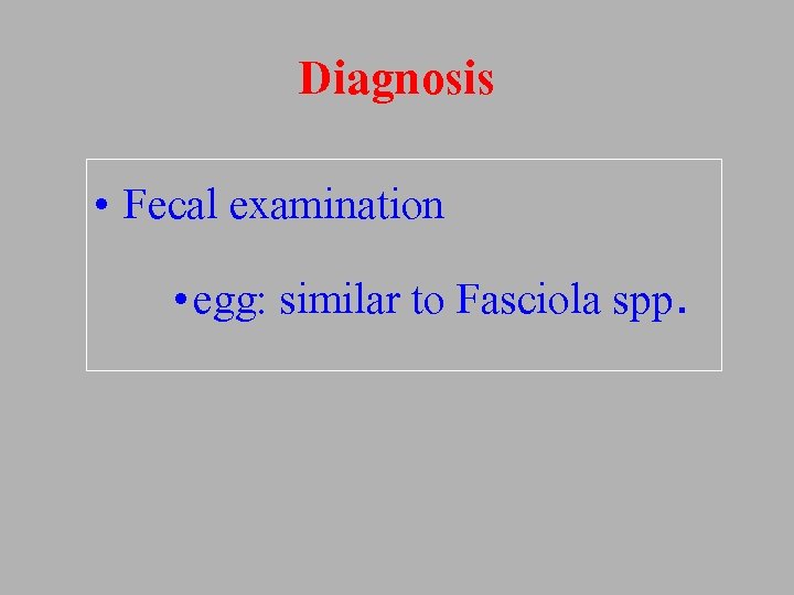 Diagnosis • Fecal examination • egg: similar to Fasciola spp. 