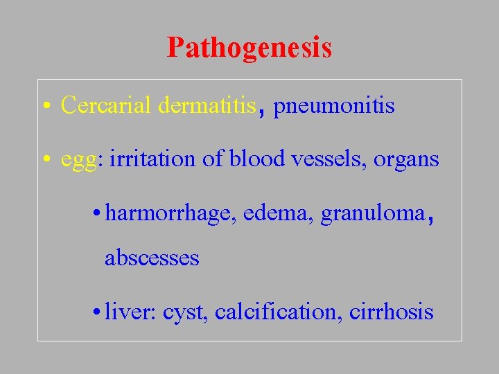 Pathogenesis • Cercarial dermatitis, pneumonitis • egg: irritation of blood vessels, organs • harmorrhage,