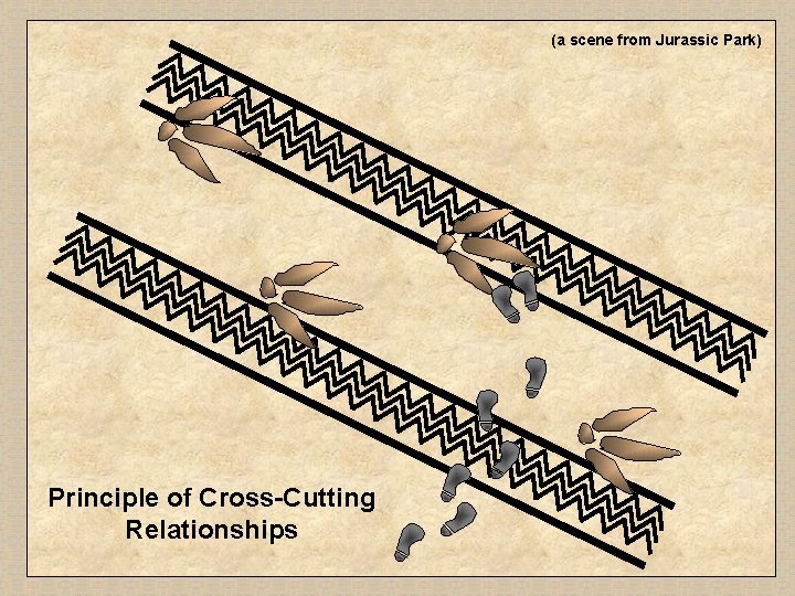 (a scene from Jurassic Park) Principle of Cross-Cutting Relationships 