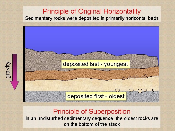 Principle of Original Horizontality gravity Sedimentary rocks were deposited in primarily horizontal beds deposited