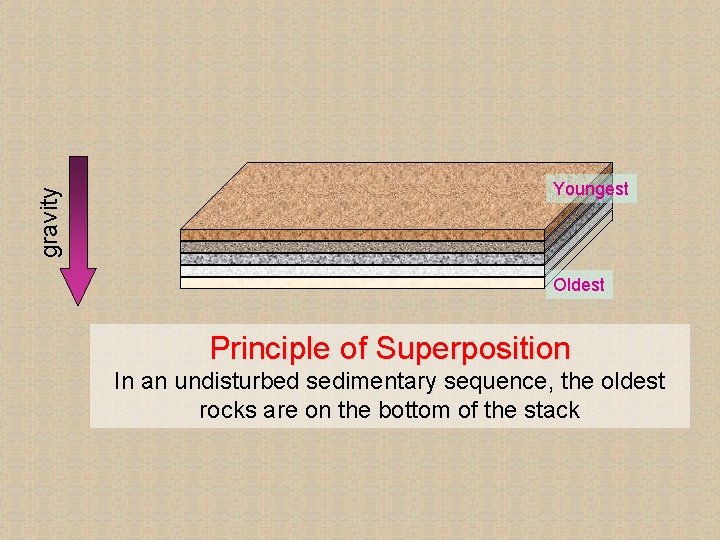 gravity Youngest Oldest Principle of Superposition In an undisturbed sedimentary sequence, the oldest rocks