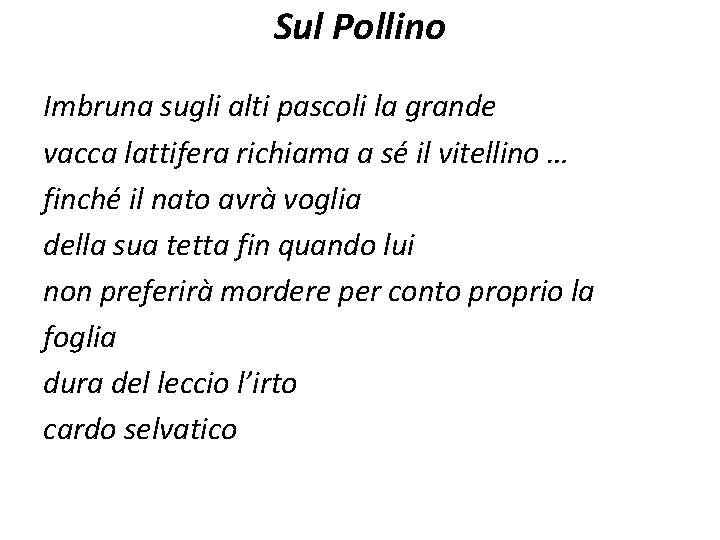 Sul Pollino Imbruna sugli alti pascoli la grande vacca lattifera richiama a sé il