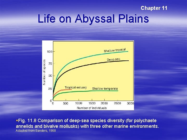 Chapter 11 Life on Abyssal Plains §Fig. 11. 8 Comparison of deep-sea species diversity Chapter 11 Life on Abyssal Plains §Fig. 11. 8 Comparison of deep-sea species diversity