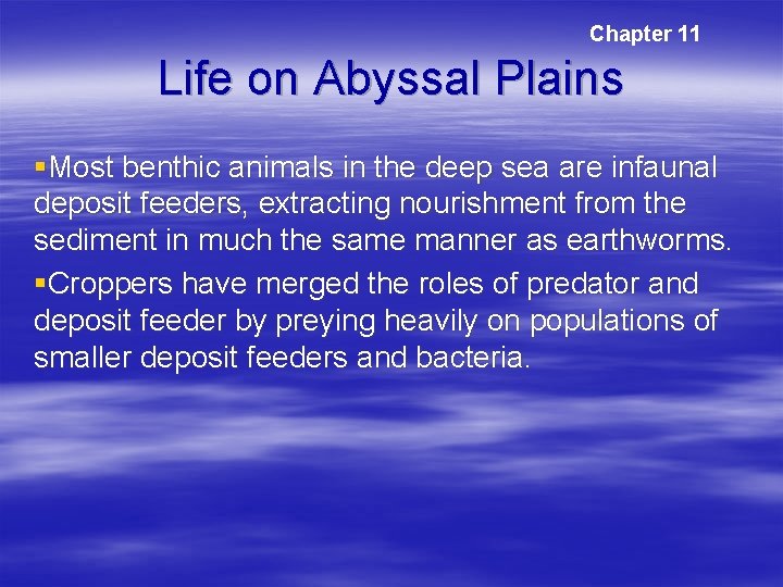 Chapter 11 Life on Abyssal Plains §Most benthic animals in the deep sea are Chapter 11 Life on Abyssal Plains §Most benthic animals in the deep sea are