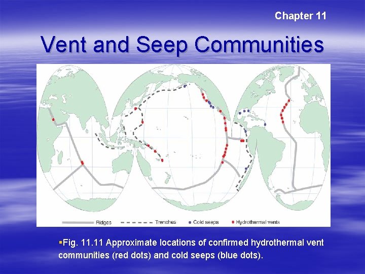 Chapter 11 Vent and Seep Communities §Fig. 11 Approximate locations of confirmed hydrothermal vent Chapter 11 Vent and Seep Communities §Fig. 11 Approximate locations of confirmed hydrothermal vent
