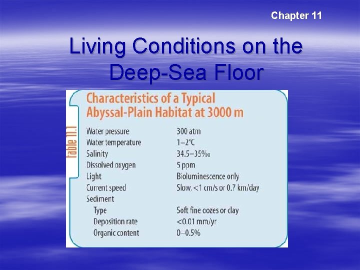 Chapter 11 Living Conditions on the Deep-Sea Floor Chapter 11 Living Conditions on the Deep-Sea Floor