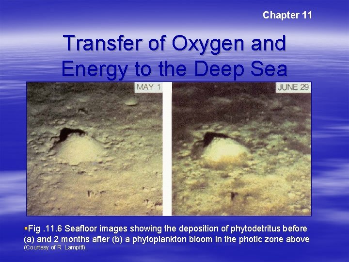Chapter 11 Transfer of Oxygen and Energy to the Deep Sea §Fig. 11. 6 Chapter 11 Transfer of Oxygen and Energy to the Deep Sea §Fig. 11. 6