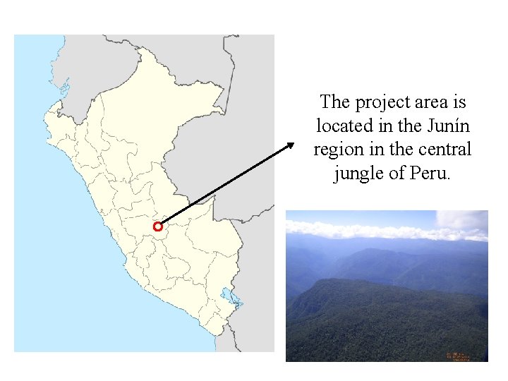 The project area is located in the Junín region in the central jungle of