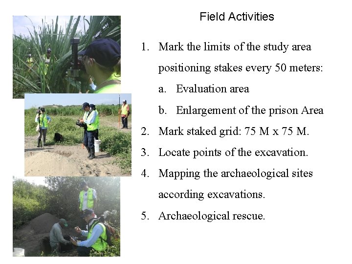 Field Activities 1. Mark the limits of the study area positioning stakes every 50