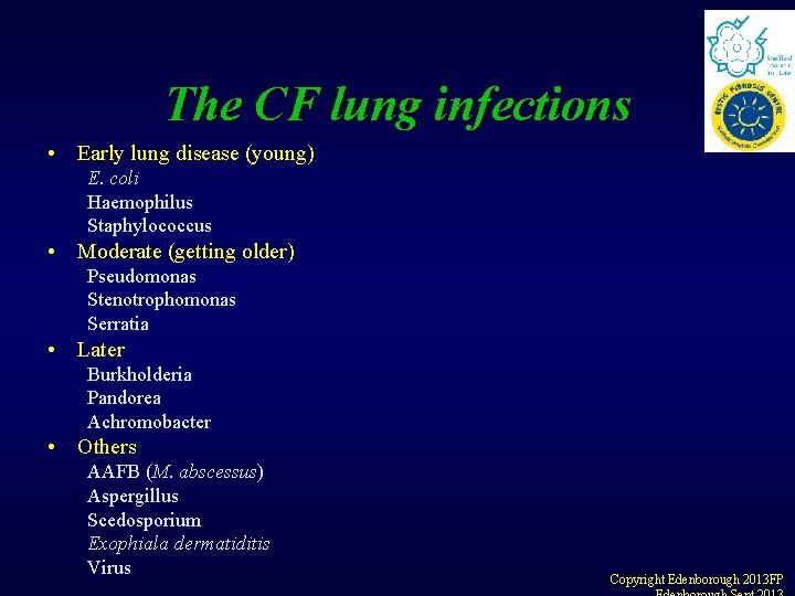 The CF lung infections • Early lung disease (young) E. coli Haemophilus Staphylococcus • The CF lung infections • Early lung disease (young) E. coli Haemophilus Staphylococcus •