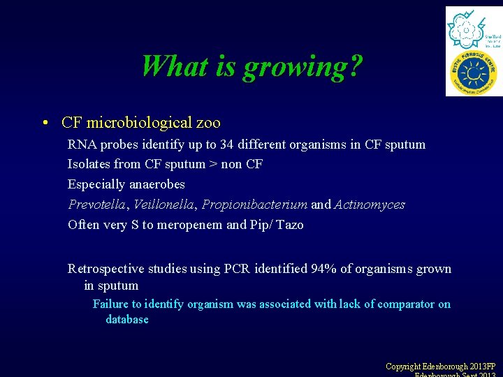 What is growing? • CF microbiological zoo RNA probes identify up to 34 different What is growing? • CF microbiological zoo RNA probes identify up to 34 different