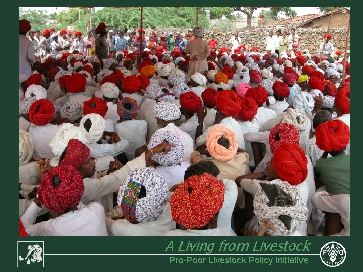 A Living from Livestock Pro-Poor Livestock Policy Initiative 